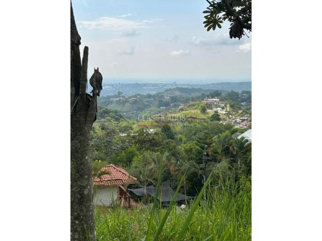 Lotes, Venta en La Reforma