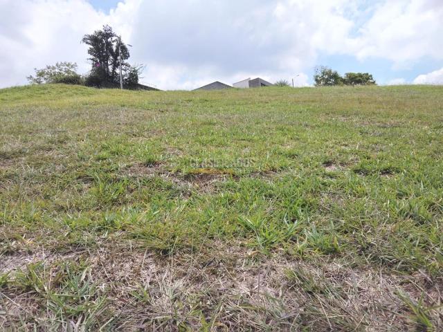 Lotes, Venta en Jamundí