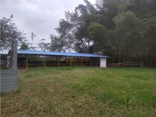 Fincas y Casas Campestres, Venta en Candelaria