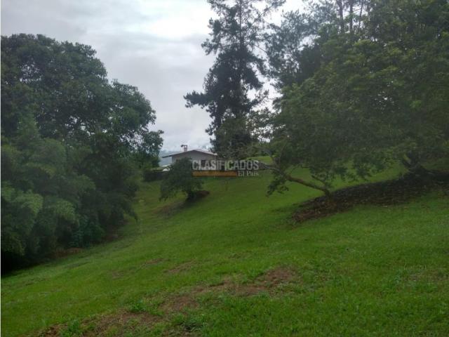 Fincas y Casas Campestres, Venta en Dagua