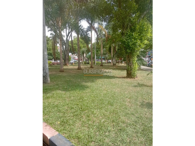 Apartamentos, Alquiler en El Cedro