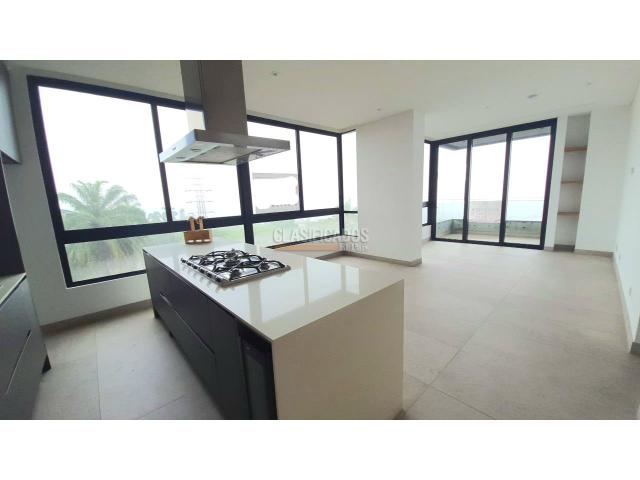 Apartamentos, Alquiler en Bellavista