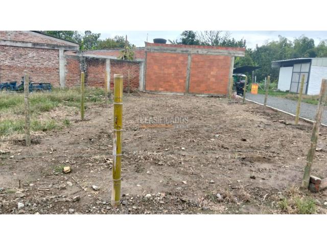 Lotes, Venta en Ginebra