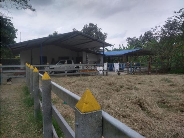 Fincas y Casas Campestres, Venta en Candelaria