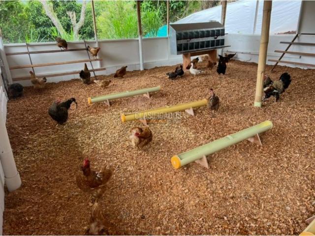 Fincas y Casas Campestres, Venta en Dagua