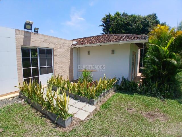 Casas, Alquiler en Pance