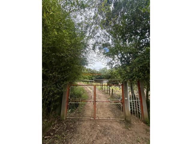 Lotes, Venta en Chachagüí