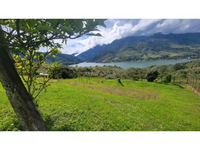 Fincas y Casas Campestres, Venta en Calima (Darién)