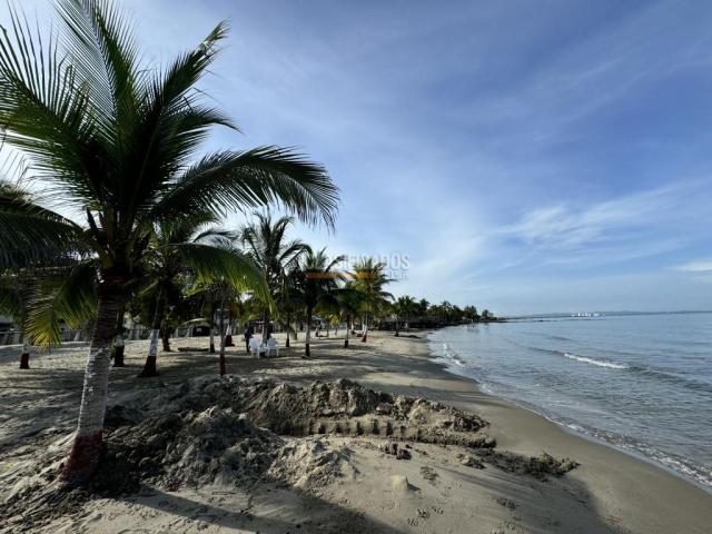 Casas, Alquiler en Tolu