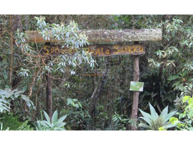 Edificios, Venta en Dapa