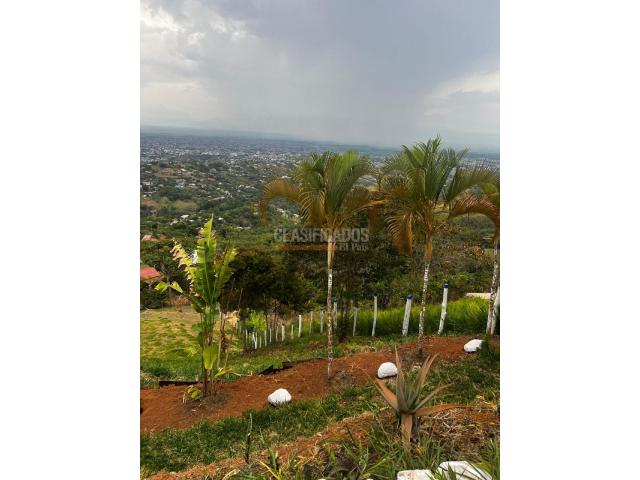 Lotes, Venta en La Reforma