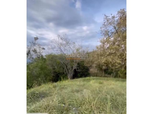 Lotes, Venta en Buga