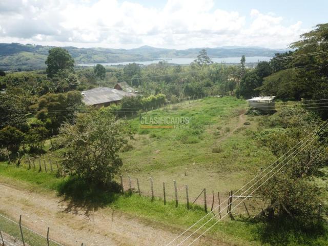 Lotes, Venta en Calima (Darién)