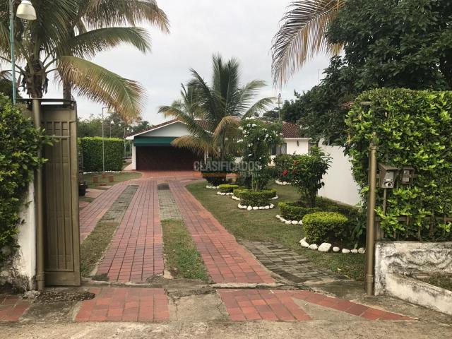 Casas, Alquiler en Pance