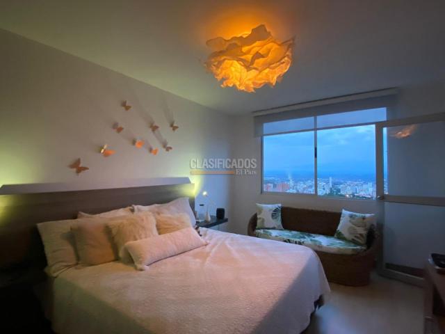 Apartamentos, Alquiler en Bellavista