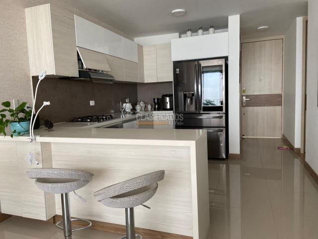 Apartamentos, Alquiler en Bellavista