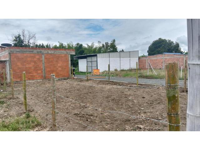 Lotes, Venta en Ginebra