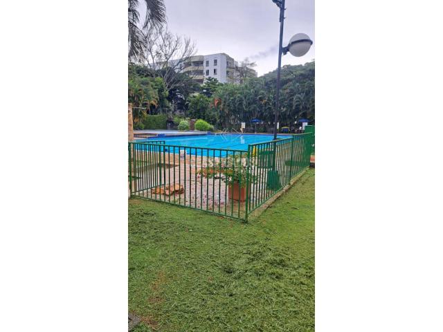 Apartamentos, Alquiler en Camino Real