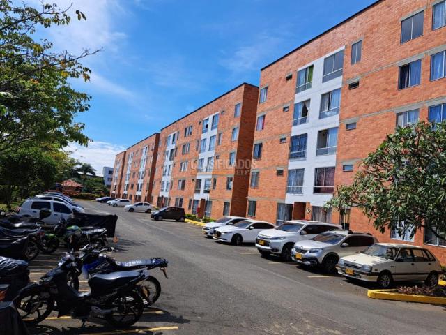 Apartamentos, Alquiler en Calicanto