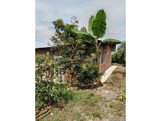 Fincas y Casas Campestres, Venta en Ginebra