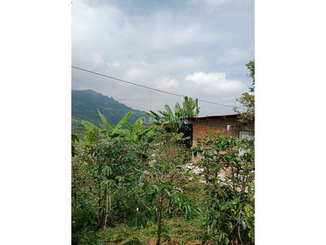 Fincas y Casas Campestres, Venta en Ginebra