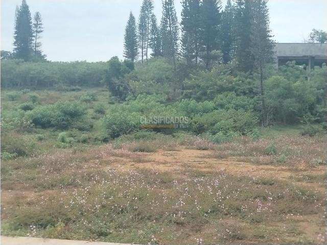 Lotes, Venta en Ciudad Jardín