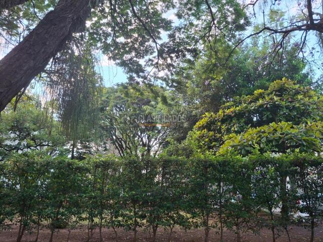 Apartamentos, Venta en El Limonar