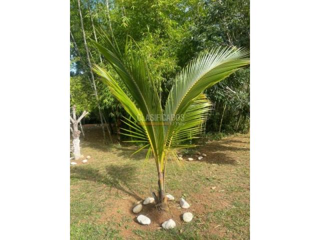 Fincas y Casas Campestres, Venta en La Cumbre