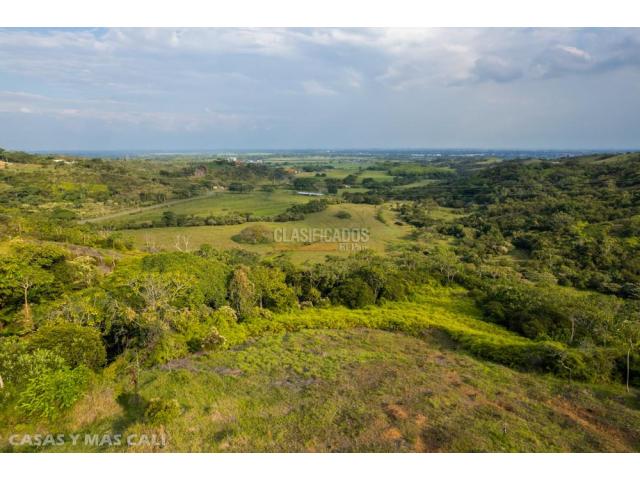 Lotes, Venta en Pance