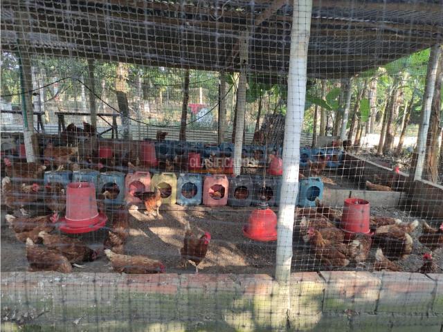 Lotes, Venta en Candelaria