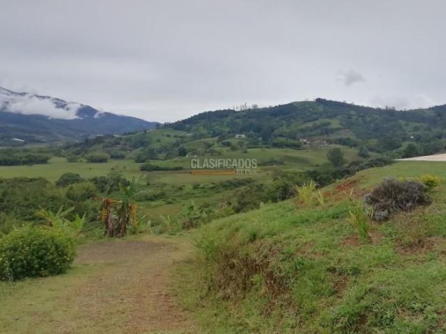 Fincas y Casas Campestres, Venta en Calima (Darién)