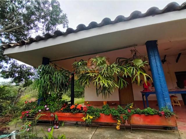 Fincas y Casas Campestres, Venta en Guacarí