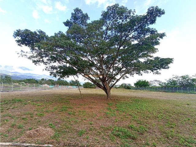 Lotes, Venta en Ginebra