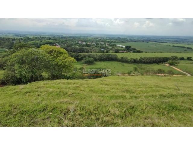 Lotes, Venta en Palmira