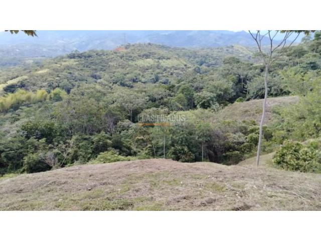 Lotes, Venta en Pance