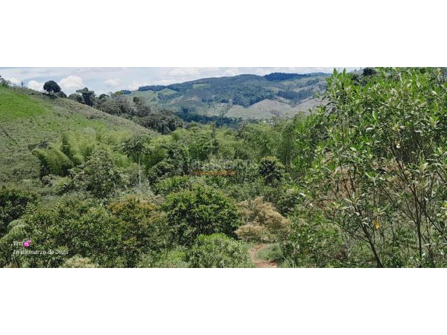 Lotes, Venta en Calima (Darién)