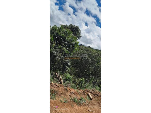 Lotes, Venta en Calima (Darién)