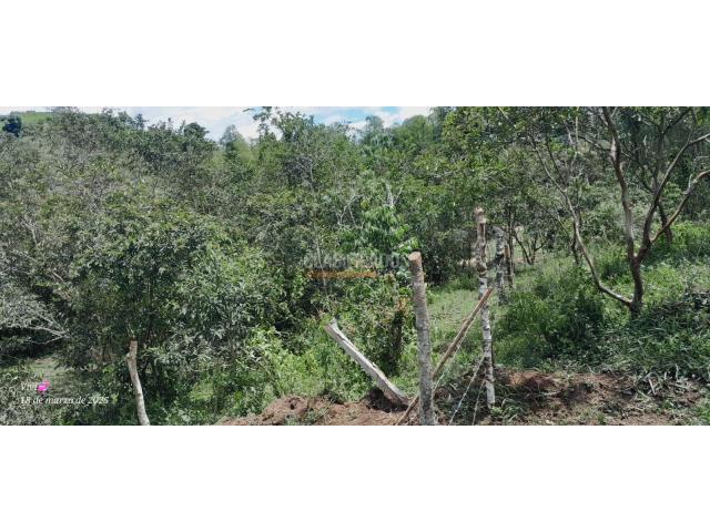 Lotes, Venta en Calima (Darién)