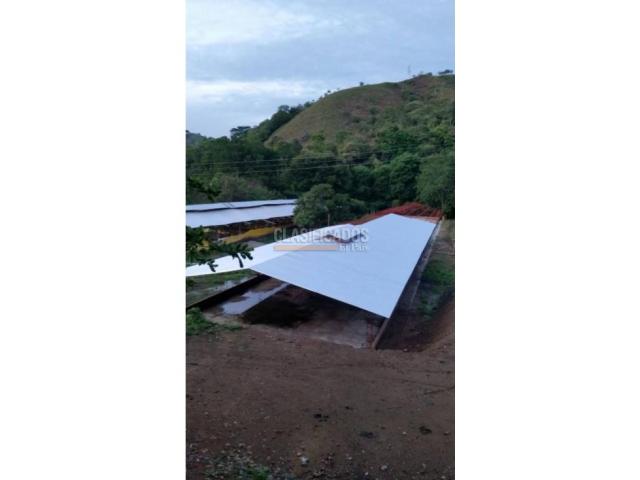 Fincas y Casas Campestres, Venta en Guacarí