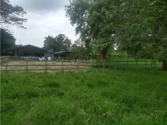 Fincas y Casas Campestres, Venta en Candelaria