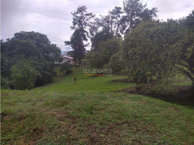 Fincas y Casas Campestres, Venta en Dagua