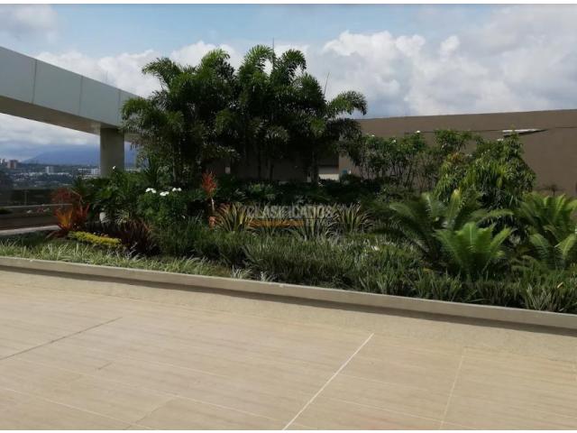 Oficinas y Consultorios, Alquiler en Ciudad Jardín