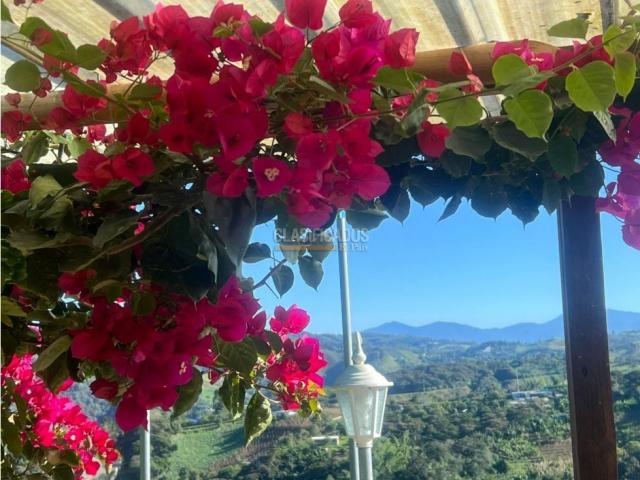 Fincas y Casas Campestres, Venta en Dagua