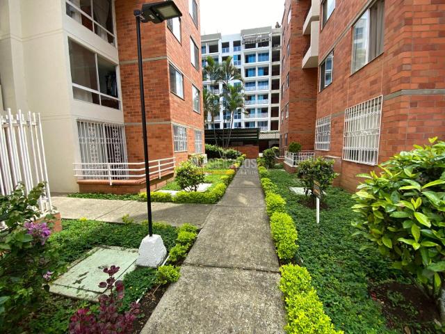 Apartamentos, Alquiler en La Hacienda