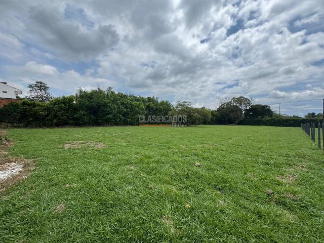 Lotes, Venta en Pance