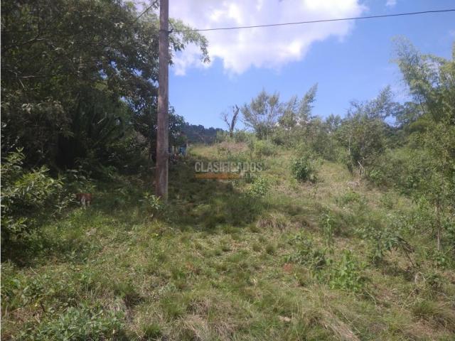 Lotes, Venta en Dapa