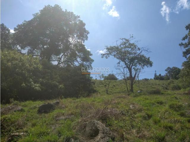 Lotes, Venta en Dapa