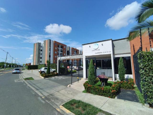 Apartamentos, Alquiler en Jamundí