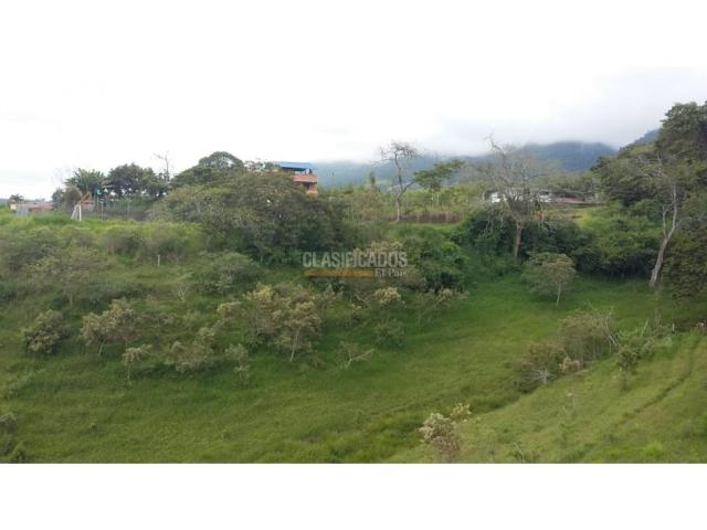 Casas, Venta en Calima (Darién)