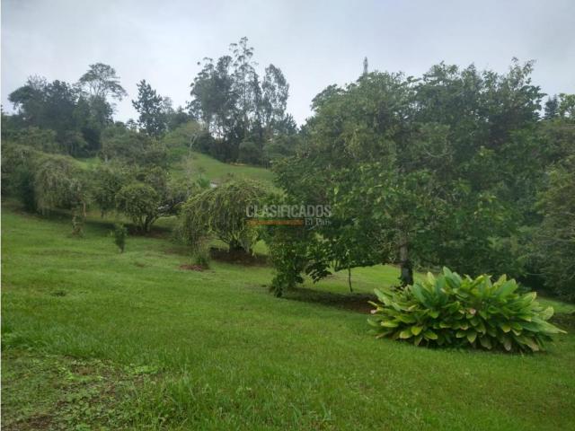 Fincas y Casas Campestres, Alquiler en Dagua